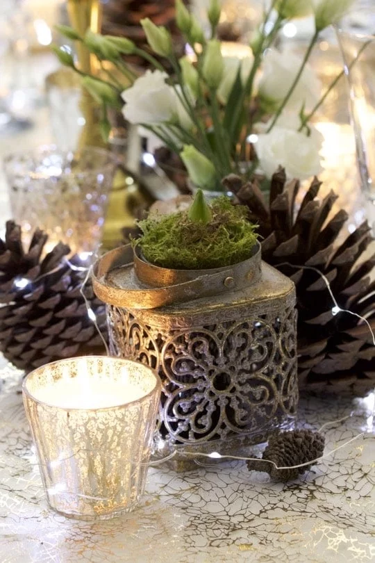 photophore doré et jacinthe pour une belle table de fêtes. photophore doré et jacinthe pour une belle table de fêtes.