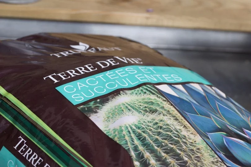 Terreau spécial cactées