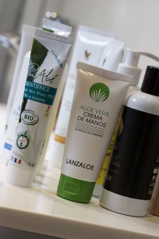Plantation d'Aloe vera de Lanzarote aux Canaries Produits Pur' Aloé et Lanzaloe