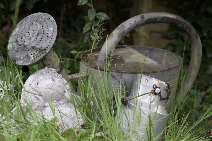 Objets en zinc au jardin