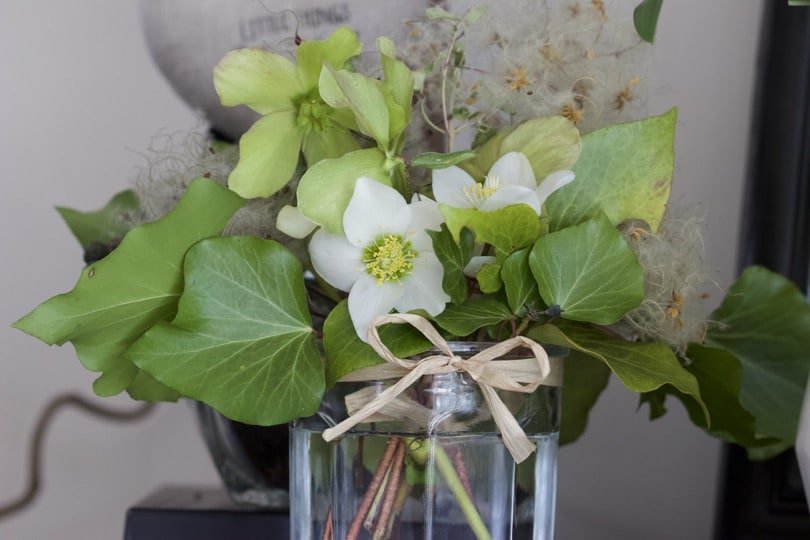 Bouquet d'hiver