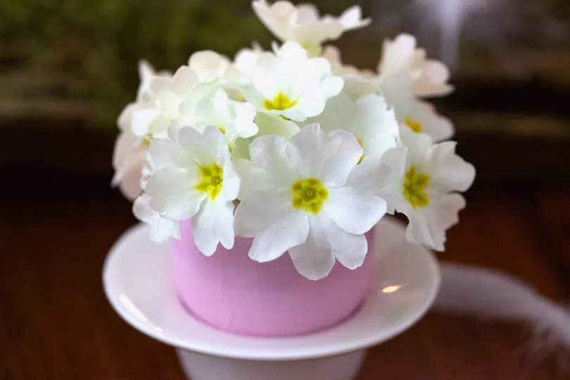 Des coquilles d'oeufs transformées en vases pour une jolie table pour pâques.