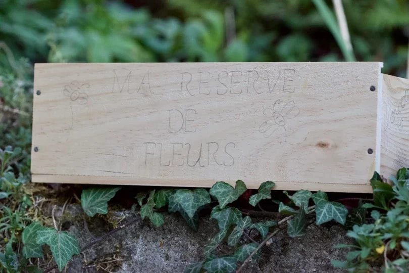 Nommer la boîte à graine pour son rangement au sous-sol