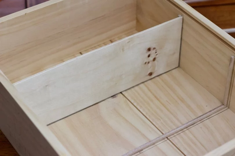 Lamelles de bois pour les cloisons de la boîte à graines