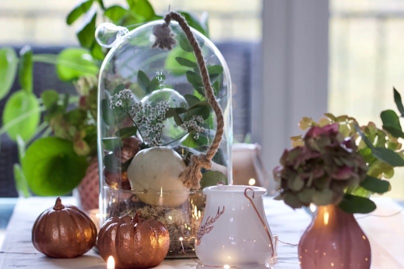 Réaliser un chemin de table avec des coloquintes pour Noël.