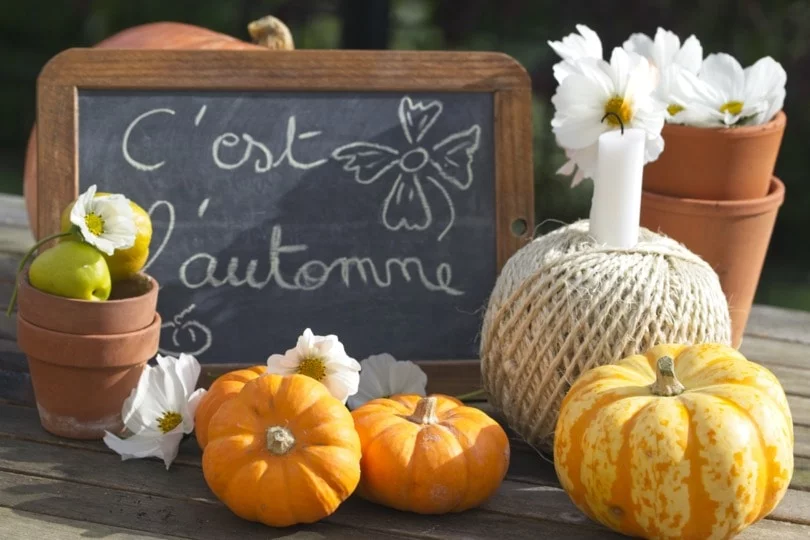 Décoration de table automnale