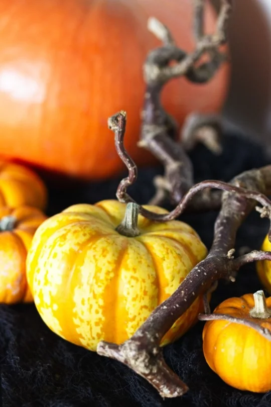 Décorations pour Halloween avec des coloquintes