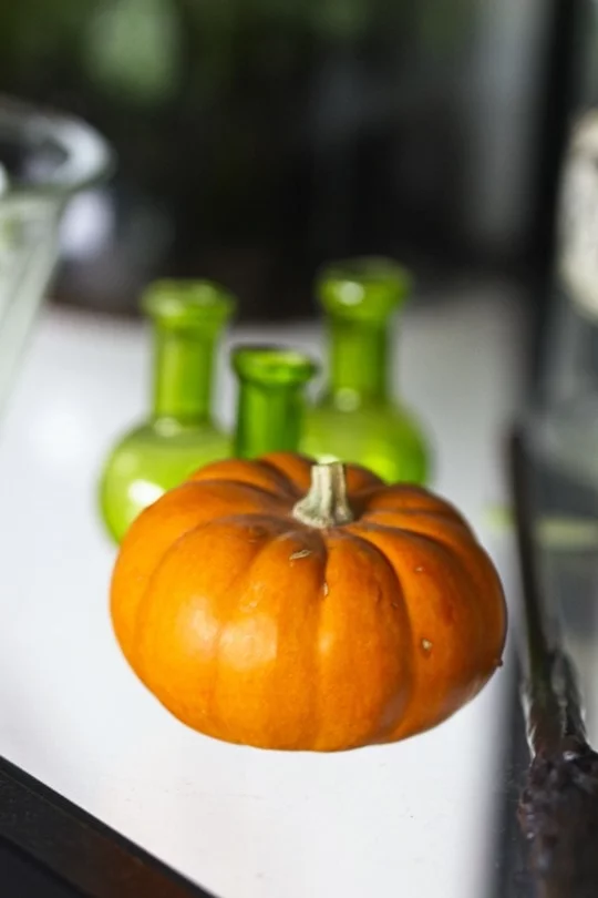 Décorations pour Halloween avec des coloquintes