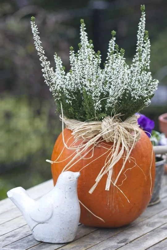 Vase naturel avec une citrouille et de la bruyère
