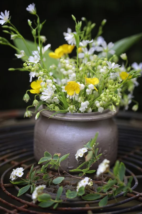 Bouquet de printemps avec des renoncules rampants 