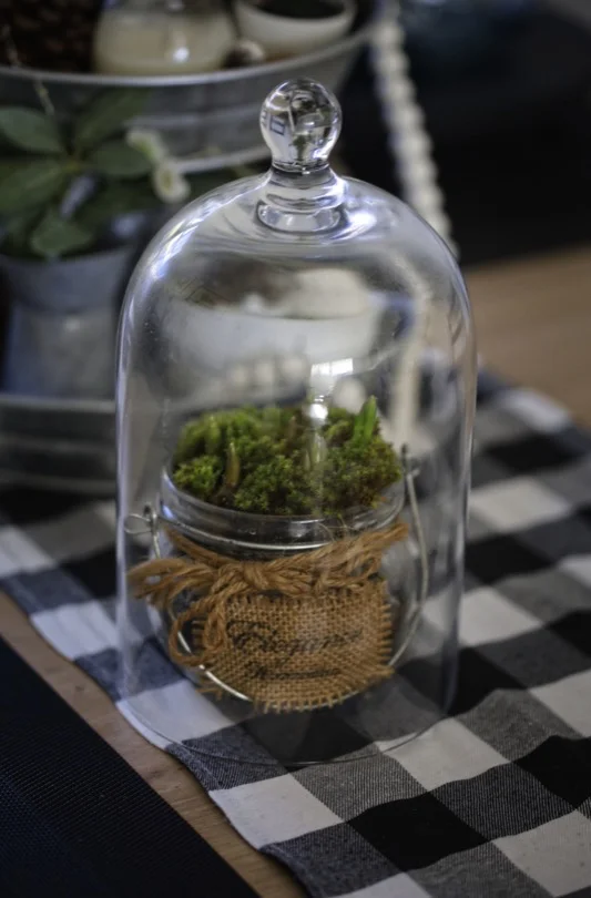 Un jardin sous cloche pour fleurir la maison en hiver